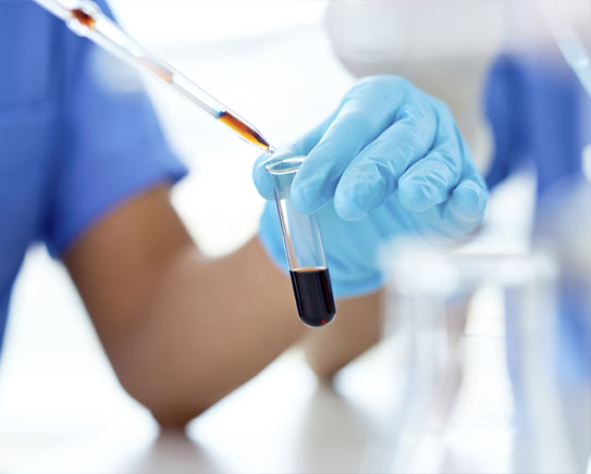 Giới thiệu về NukeViet